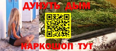 гашик Будённовск