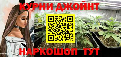 гашик Будённовск