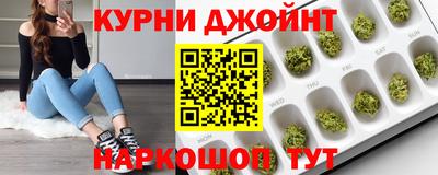 гашик Будённовск