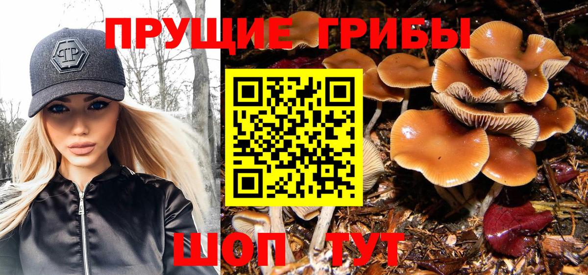 где продают наркотики  Вход с VPN  Малоярославец  Галлюциногенные грибы мухоморы 